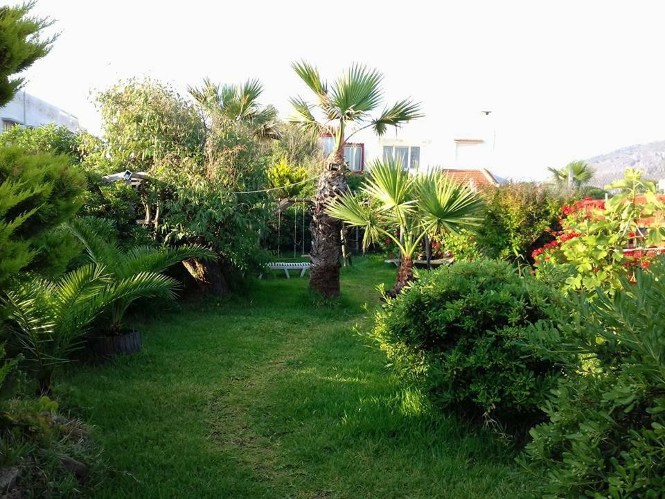 Georgia Seaside Villa Hersonissos  Bagian luar foto